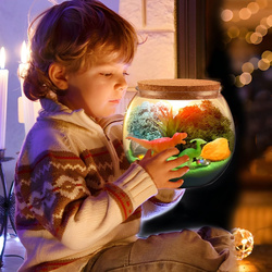 TERRARIUM KULA Z DINOZAURAMI ZESTAW LAMPKA NOCNA LED NA PILOT DLA DZIECI